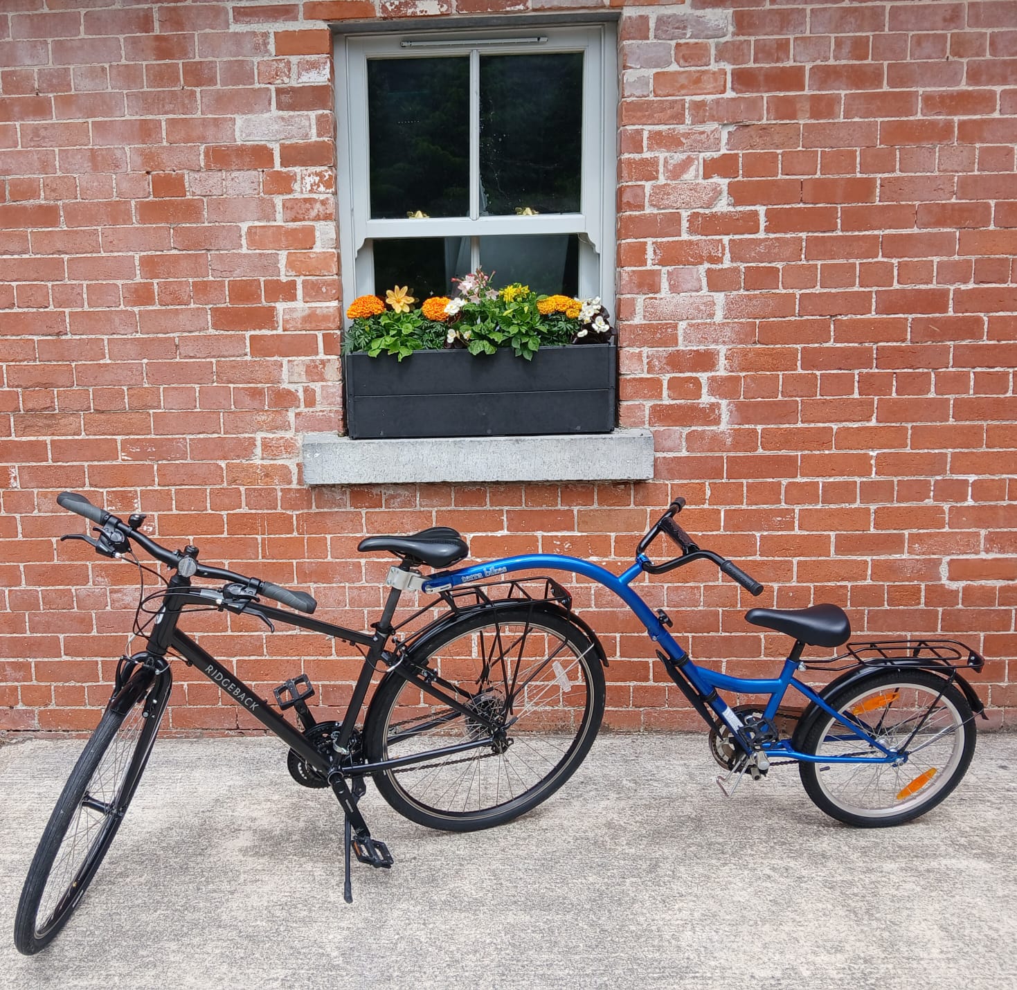 Bike and Tag-a-long €40