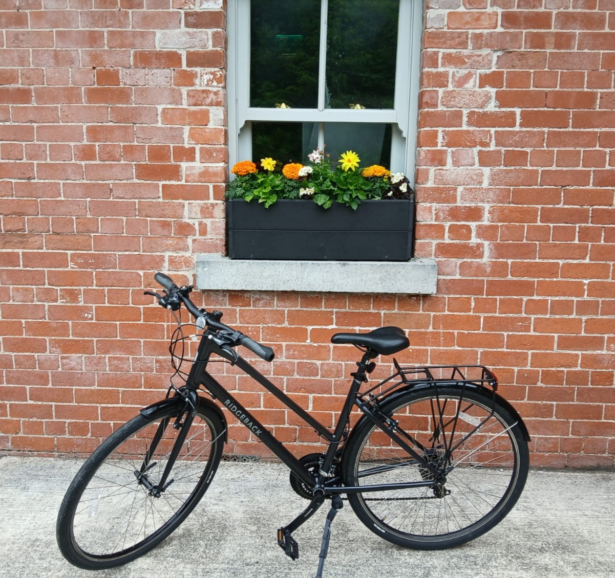 Standard bike hire €25